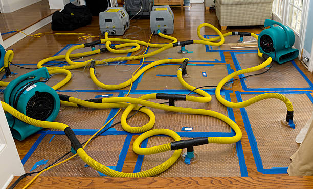 Professional Structural Drying And Dehumidification technician working in Keene, KY